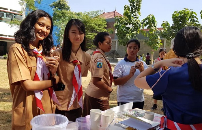 69584408_678604109281362_8630704324244144128_n