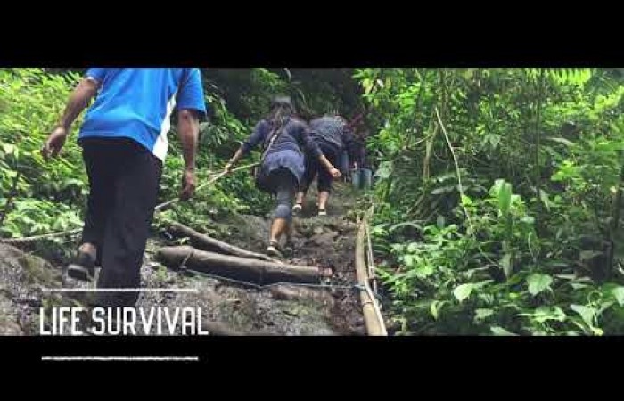 Official teaser Live in 2018